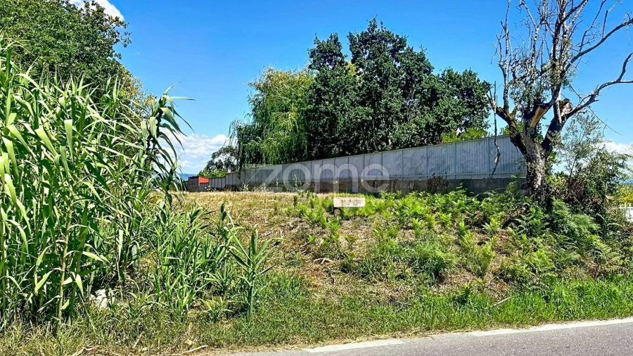 Terreno para Venda em São Martinho de Árvore e Lamarosa