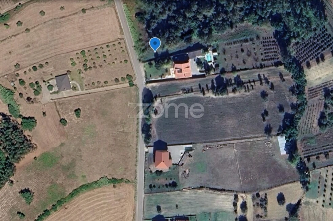 Terreno para Venda em São Martinho de Árvore e Lamarosa Foto 15
