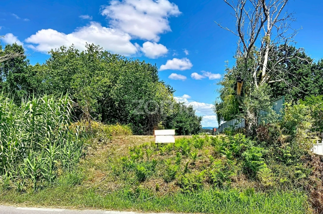Terreno para Venda em São Martinho de Árvore e Lamarosa Foto 10