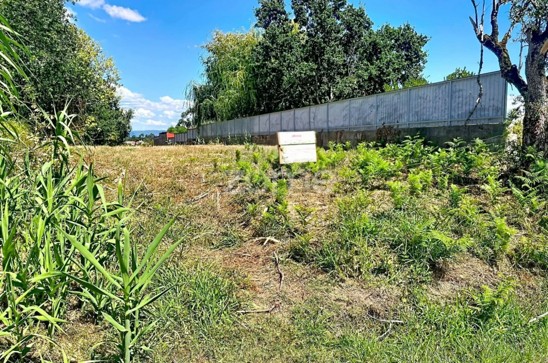 Terreno para Venda em São Martinho de Árvore e Lamarosa Foto 4