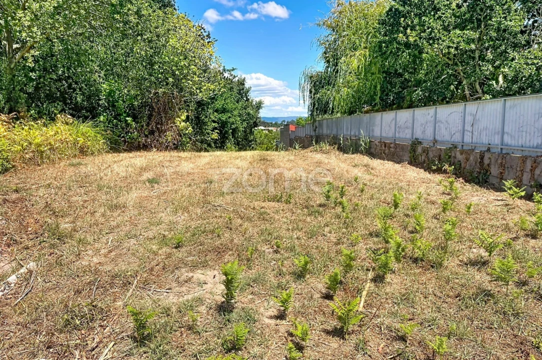 Terreno para Venda em São Martinho de Árvore e Lamarosa Foto 1