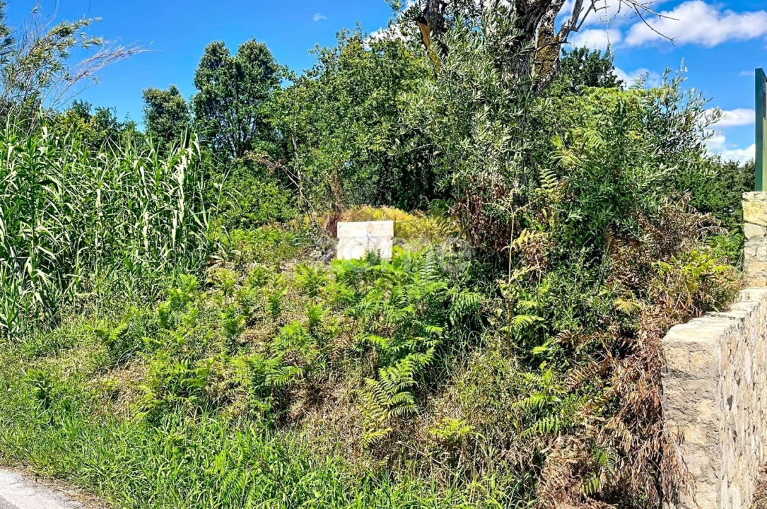 Terreno para Venda em São Martinho de Árvore e Lamarosa Foto 13