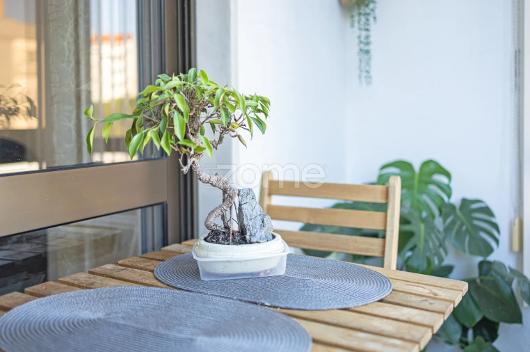 Apartamento T2 para Venda em Laranjeiro e Feijó Foto 6