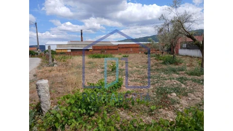 Terreno para Venda em Madalena e Samaiões