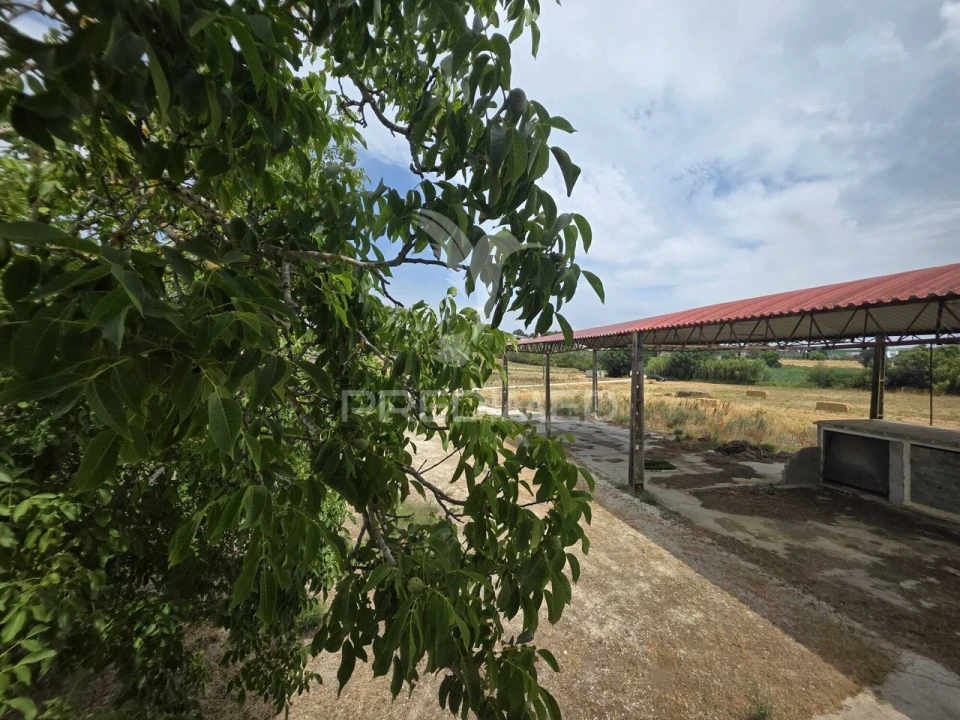 Quinta T6 para Venda em Torres Novas (Santa Maria, Salvador e Santiago) Foto 20