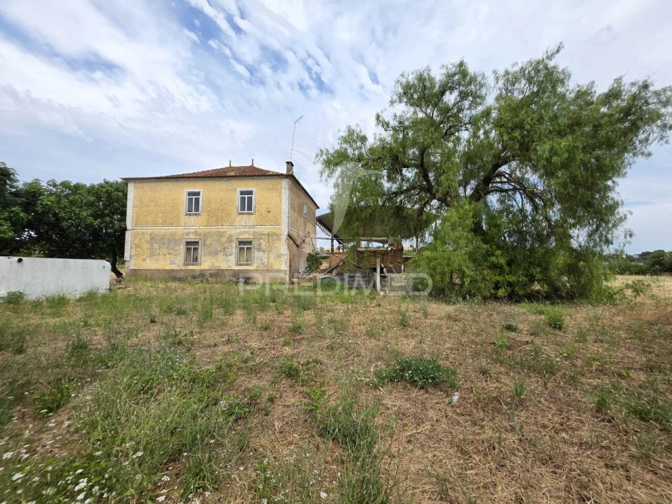 Quinta T6 para Venda em Torres Novas (Santa Maria, Salvador e Santiago) Foto 5