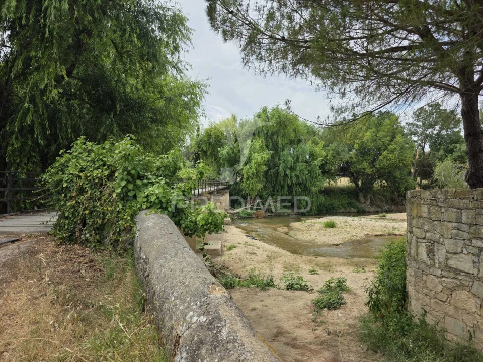 Quinta T6 para Venda em Torres Novas (Santa Maria, Salvador e Santiago) Foto 12