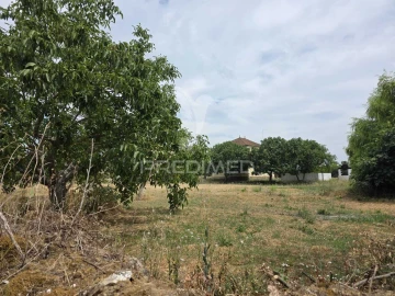 Quinta T6 para Venda em Torres Novas (Santa Maria, Salvador e Santiago)