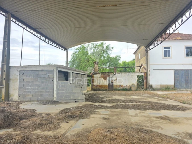 Quinta T6 para Venda em Torres Novas (Santa Maria, Salvador e Santiago) Foto 8