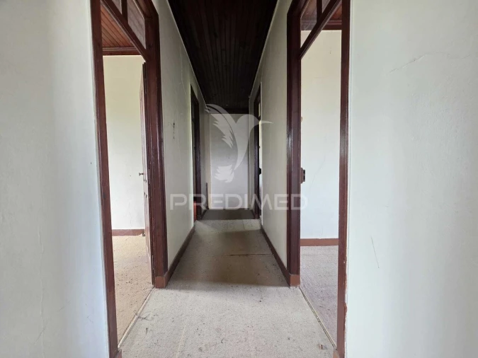 Quinta T6 para Venda em Torres Novas (Santa Maria, Salvador e Santiago) Foto 29