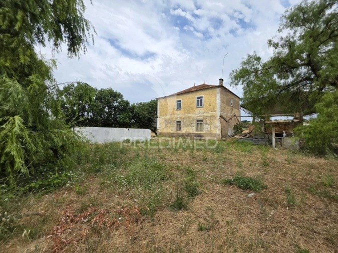 Quinta T6 para Venda em Torres Novas (Santa Maria, Salvador e Santiago) Foto 3