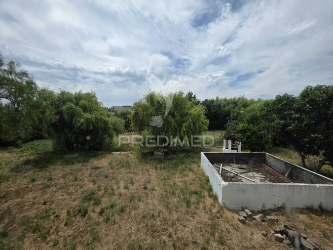 Quinta T6 para Venda em Torres Novas (Santa Maria, Salvador e Santiago) Foto 30