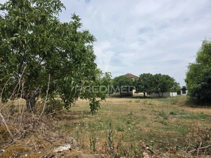 Quinta T6 para Venda em Torres Novas (Santa Maria, Salvador e Santiago) Foto 9
