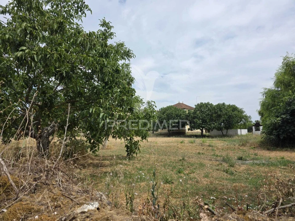 Quinta T6 para Venda em Torres Novas (Santa Maria, Salvador e Santiago) Foto 9