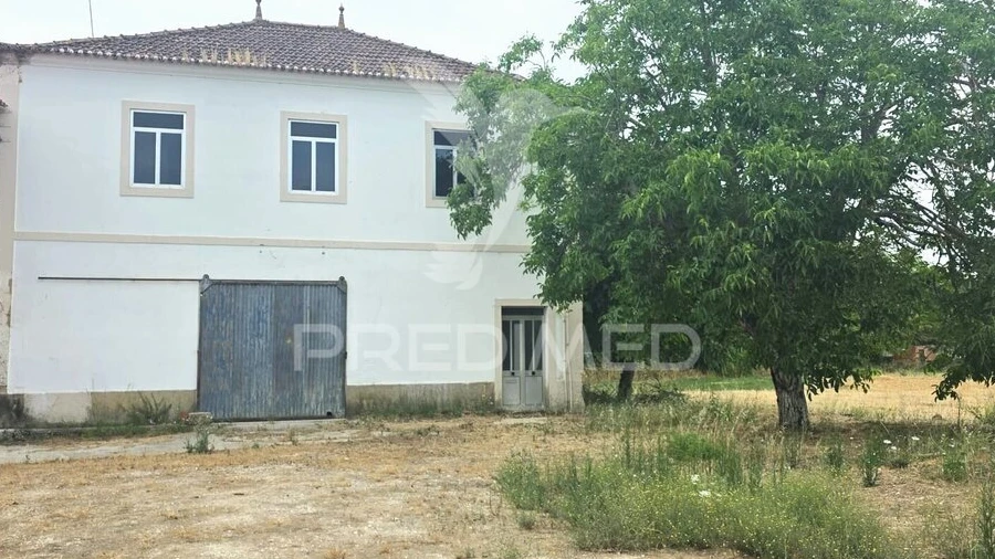 Quinta T6 para Venda em Torres Novas (Santa Maria, Salvador e Santiago)