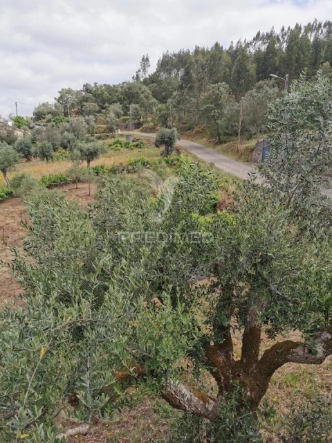 Moradia T3 para Venda em Chãos