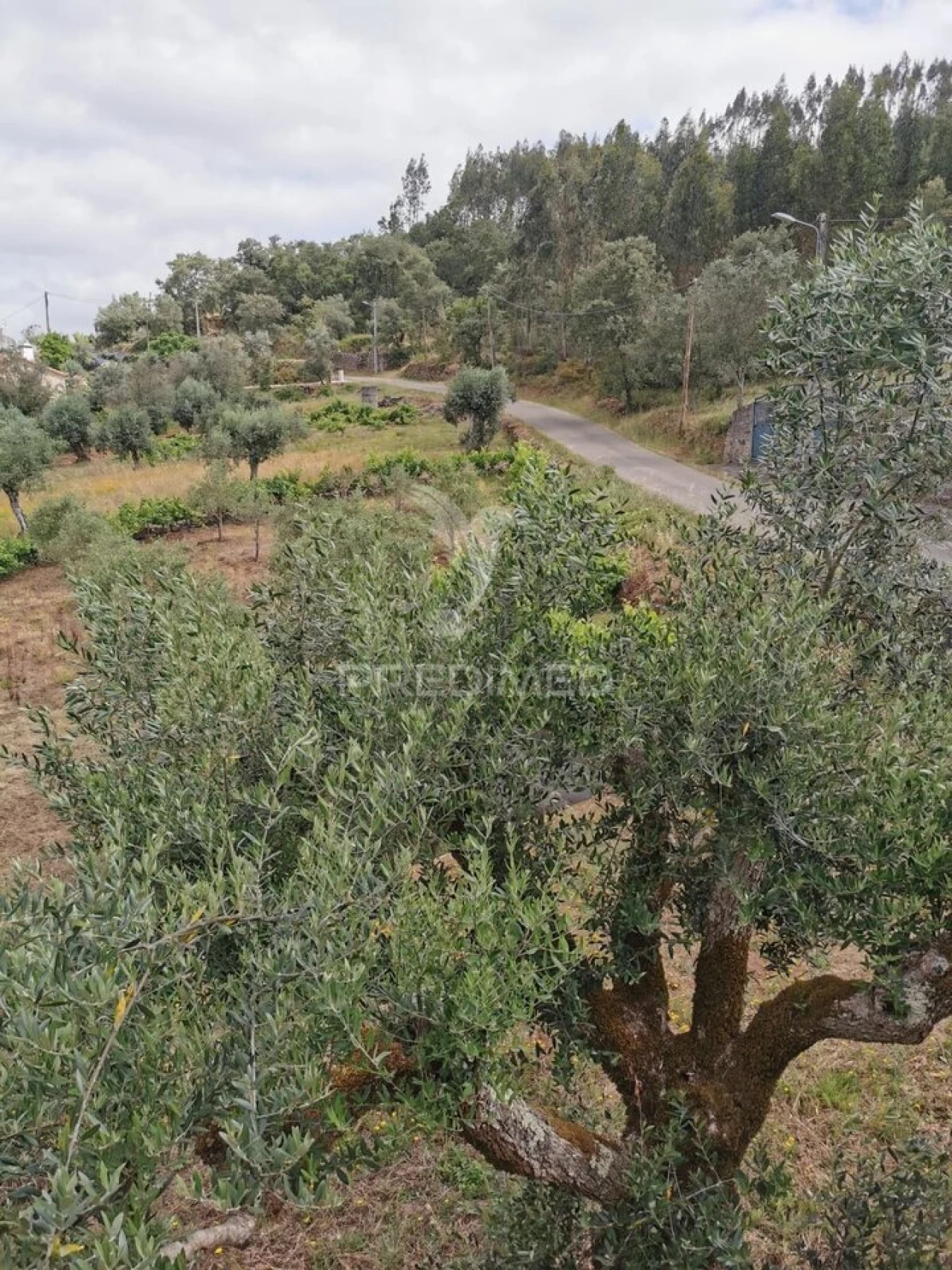 Moradia T3 para Venda em Chãos Foto 37