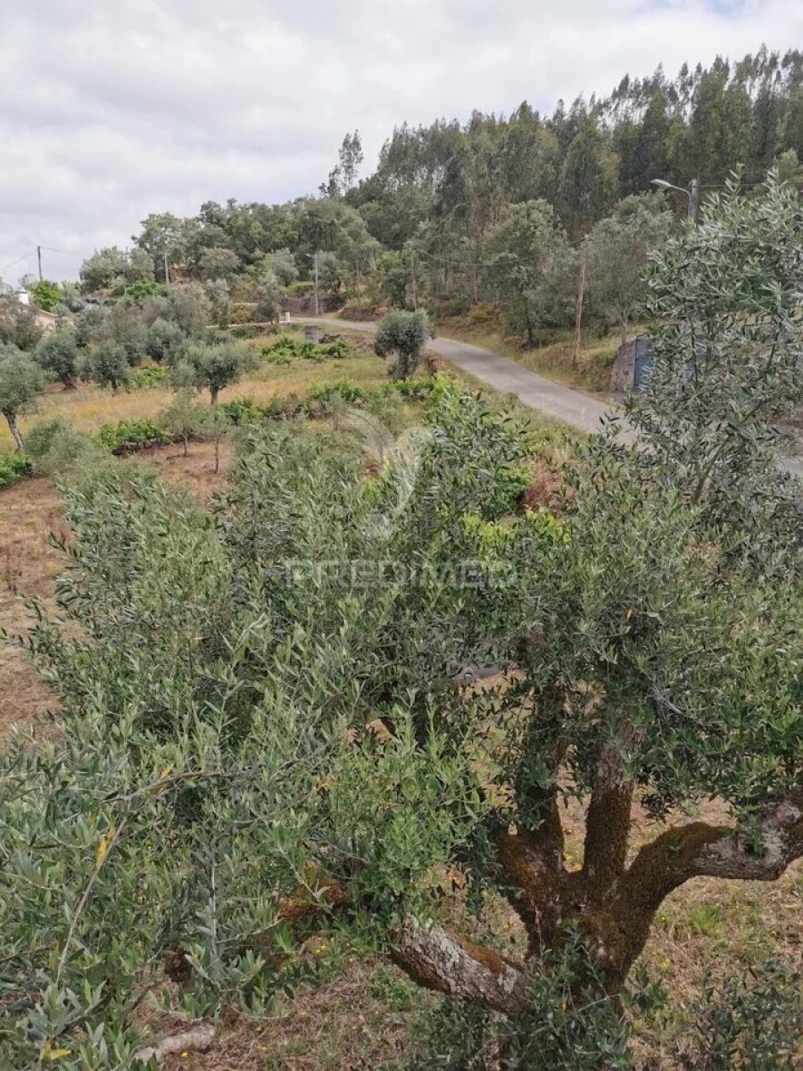 Moradia T3 para Venda em Chãos Foto 37