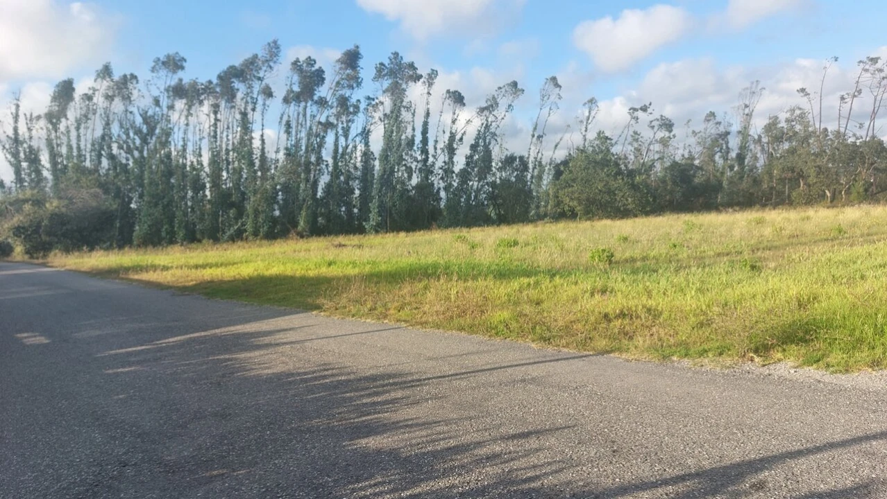 Terreno para Venda em Monte Real e Carvide Foto 1