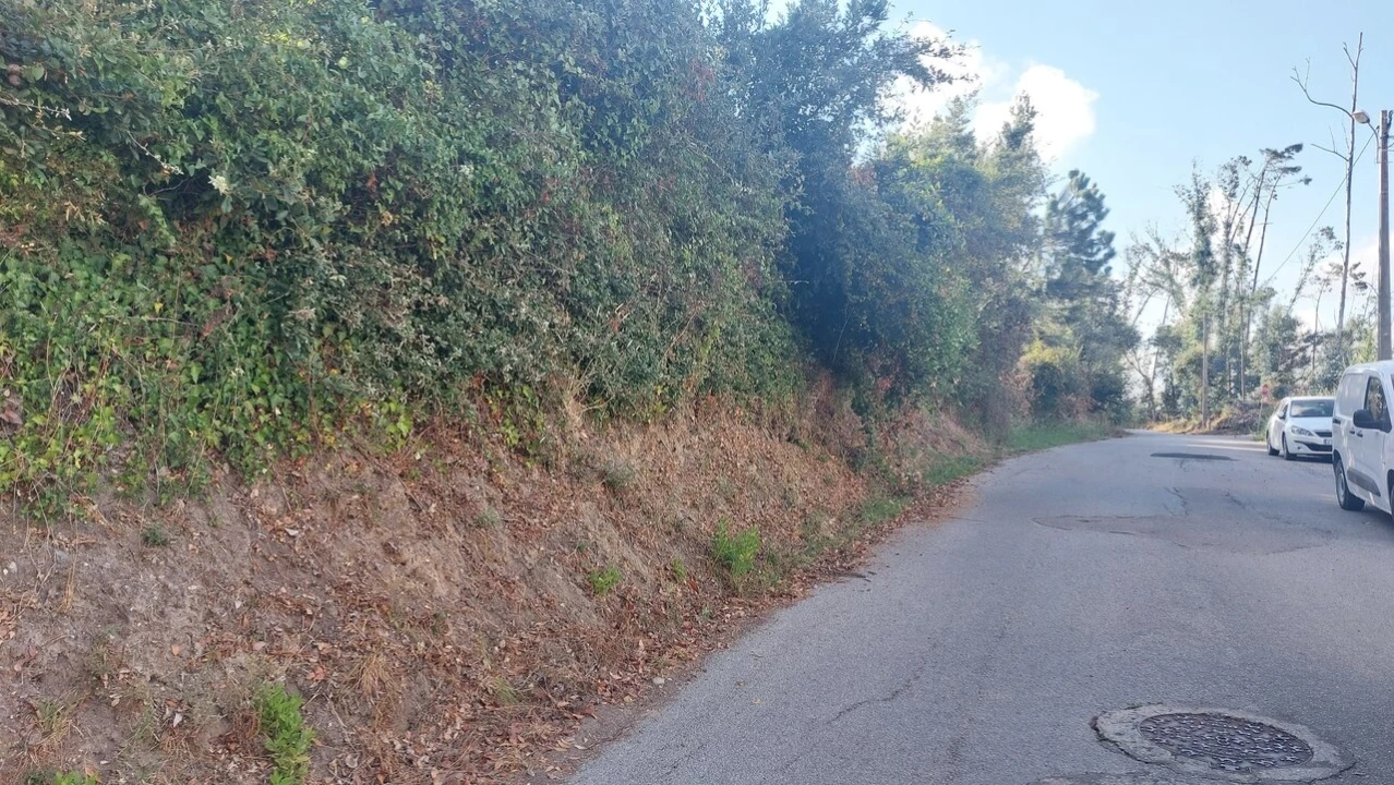 Terreno para Venda em Monte Real e Carvide Foto 4