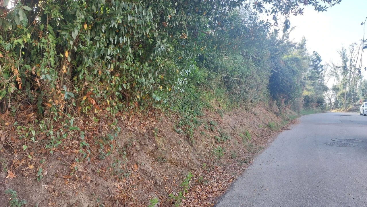 Terreno para Venda em Monte Real e Carvide Foto 5