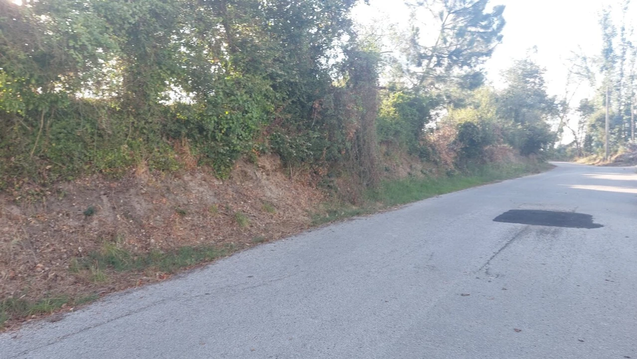 Terreno para Venda em Monte Real e Carvide Foto 6