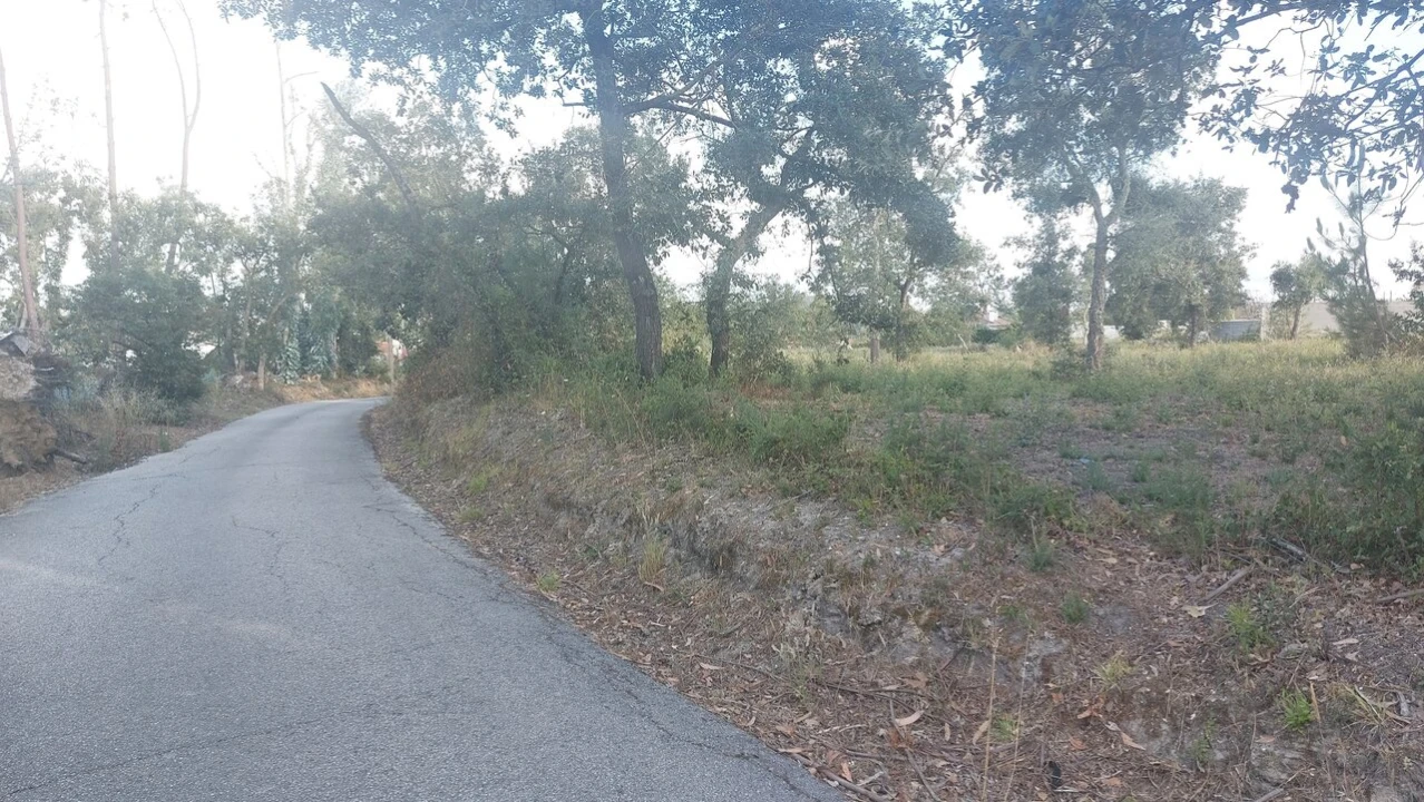 Terreno para Venda em Monte Real e Carvide Foto 8