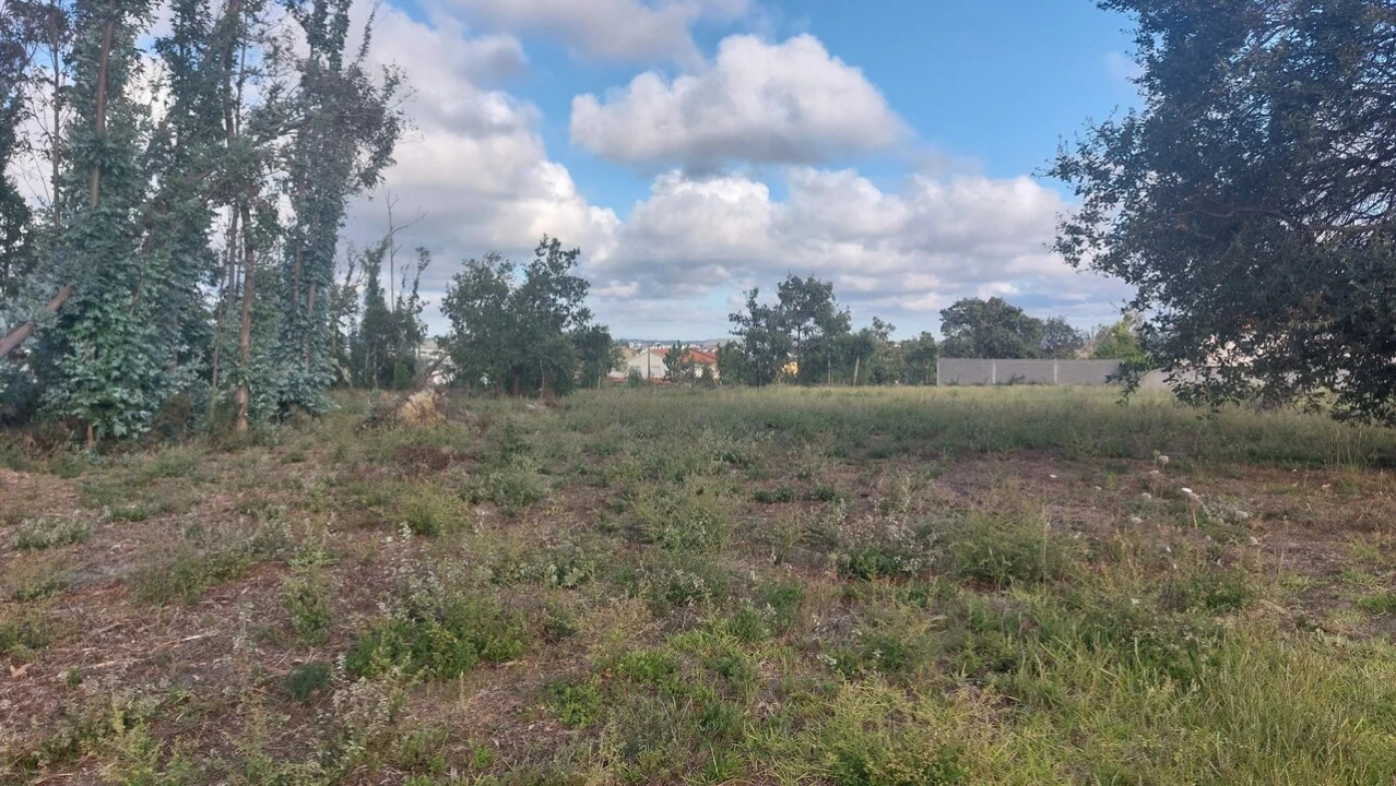 Terreno para Venda em Monte Real e Carvide Foto 14