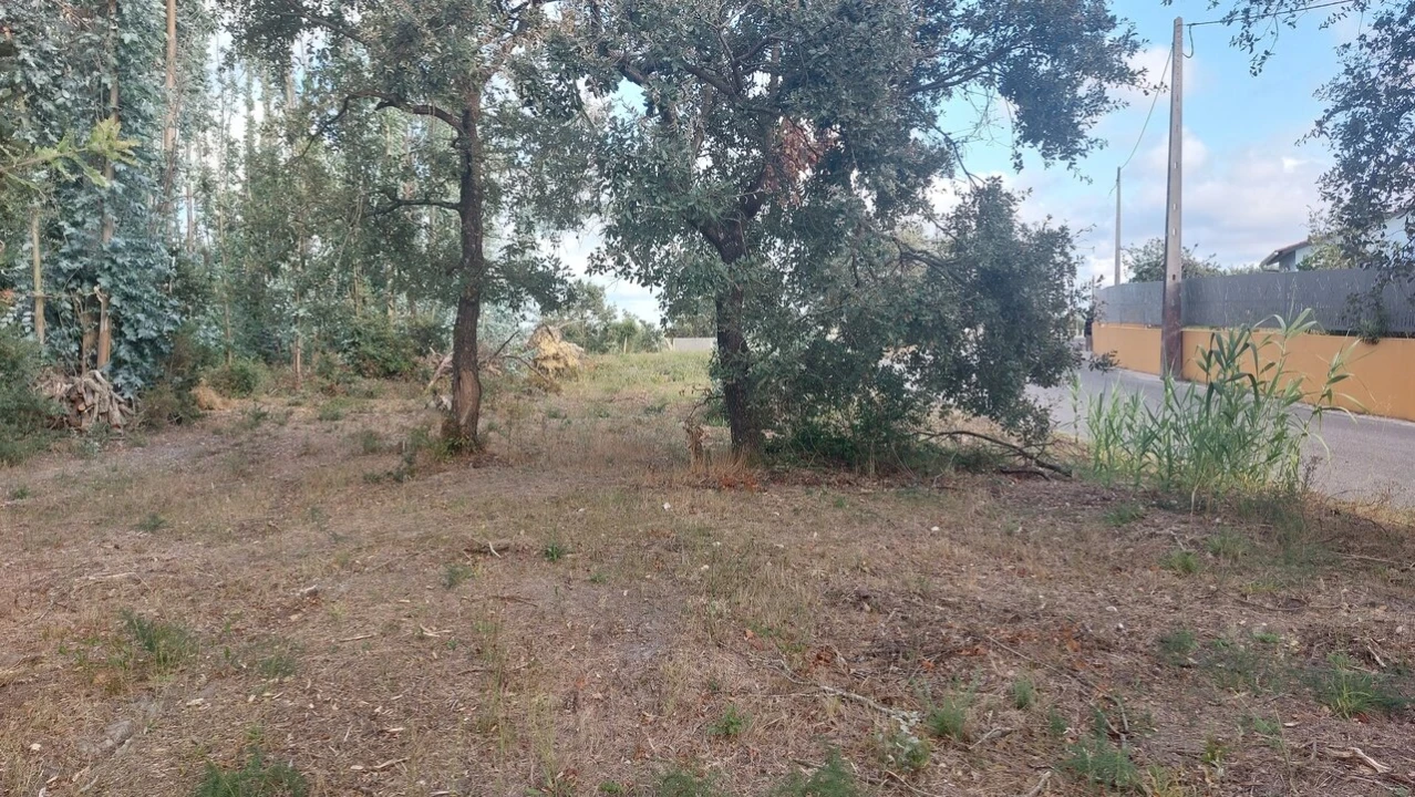 Terreno para Venda em Monte Real e Carvide Foto 16