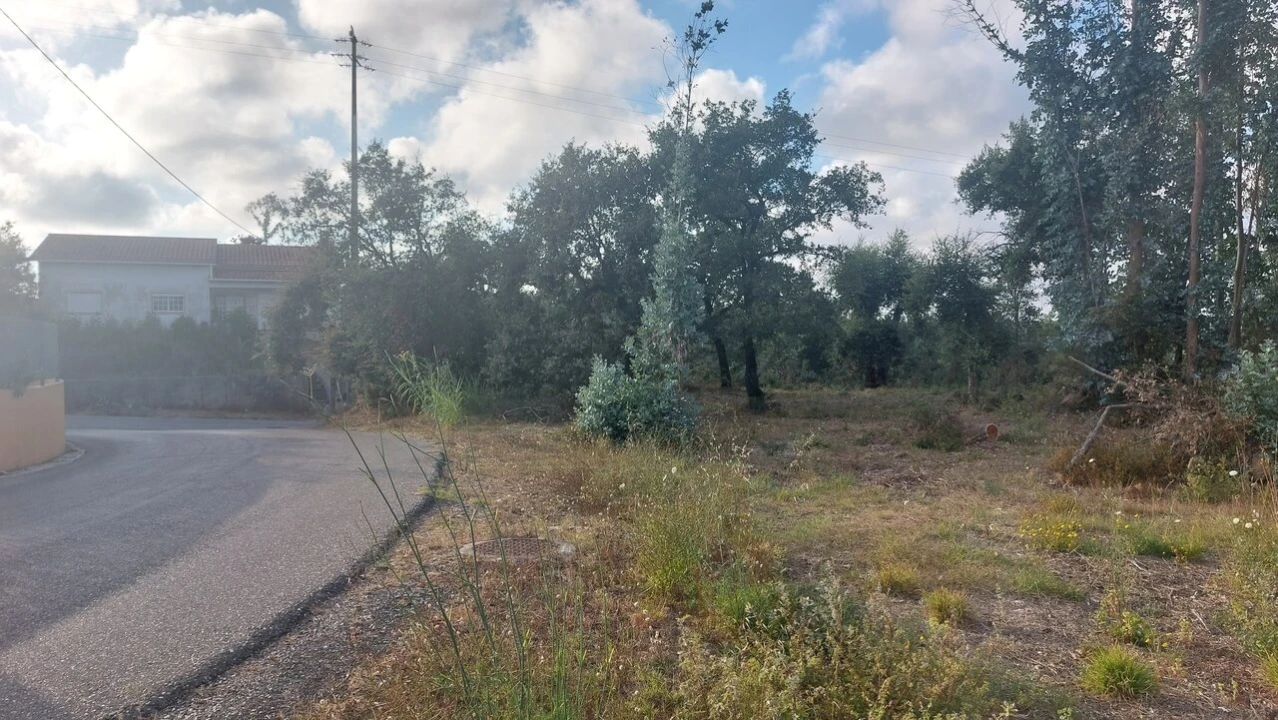 Terreno para Venda em Monte Real e Carvide Foto 19