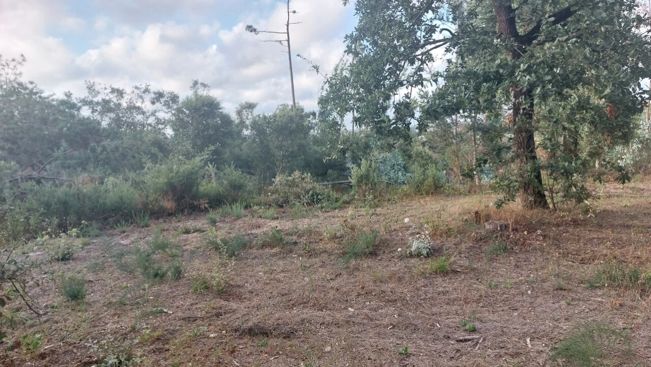 Terreno para Venda em Monte Real e Carvide Foto 23