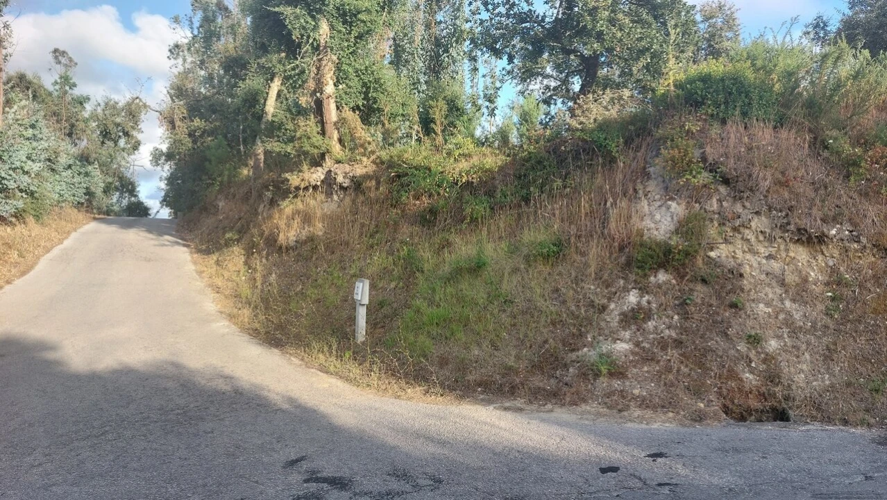 Terreno para Venda em Monte Real e Carvide Foto 24
