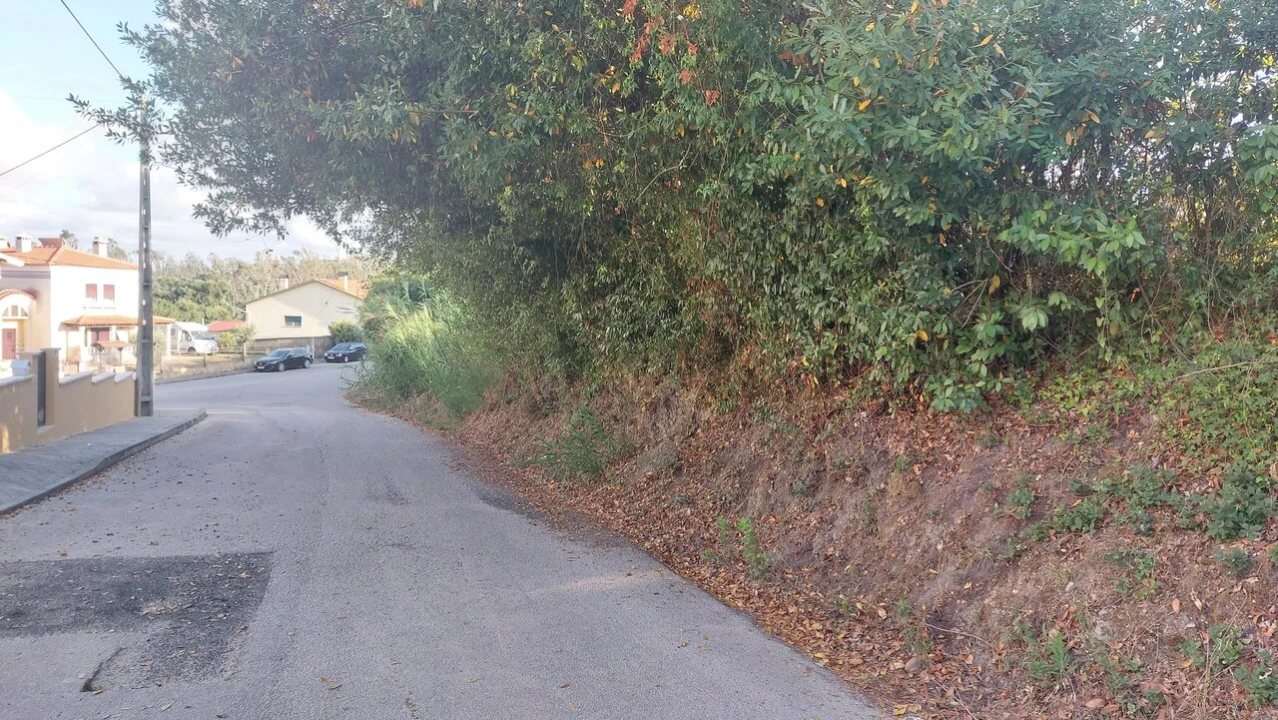 Terreno para Venda em Monte Real e Carvide Foto 25