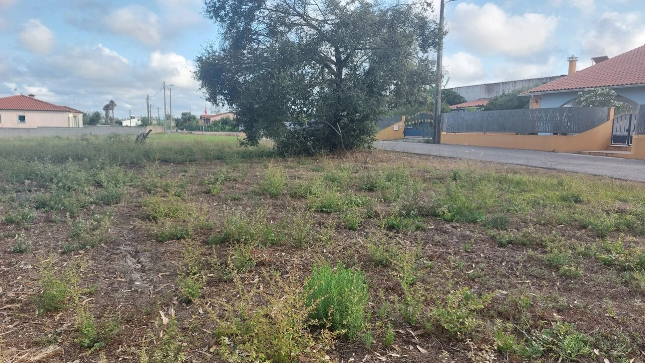 Terreno para Venda em Monte Real e Carvide Foto 28