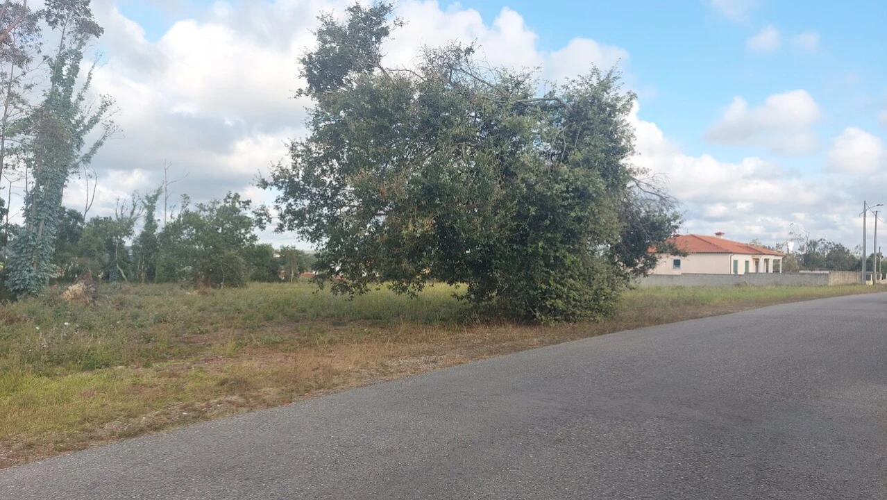 Terreno para Venda em Monte Real e Carvide Foto 29