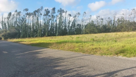 Terreno para Venda em Monte Real e Carvide
