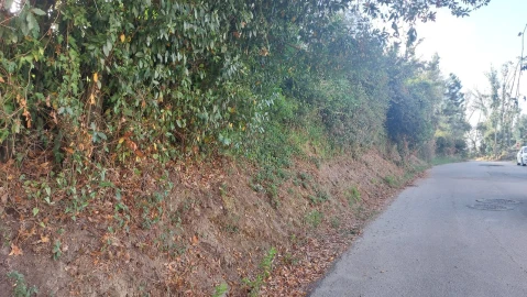 Terreno para Venda em Monte Real e Carvide