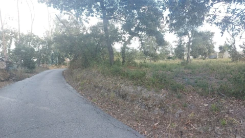 Terreno para Venda em Monte Real e Carvide