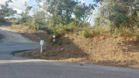 Terreno para Venda em Monte Real e Carvide