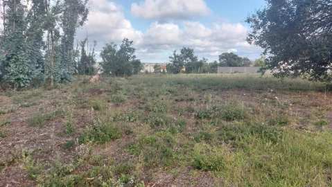 Terreno para Venda em Monte Real e Carvide