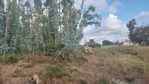 Terreno para Venda em Monte Real e Carvide