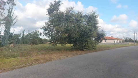Terreno para Venda em Monte Real e Carvide