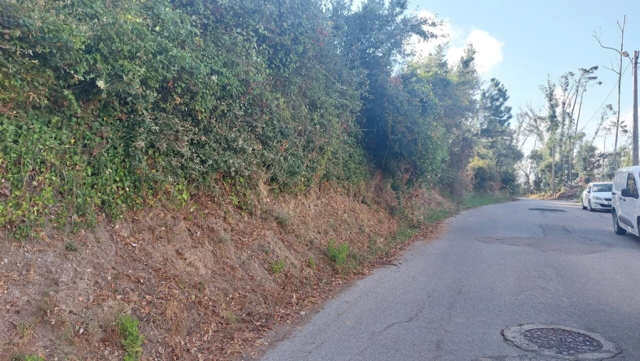 Terreno para Venda em Monte Real e Carvide Foto 4