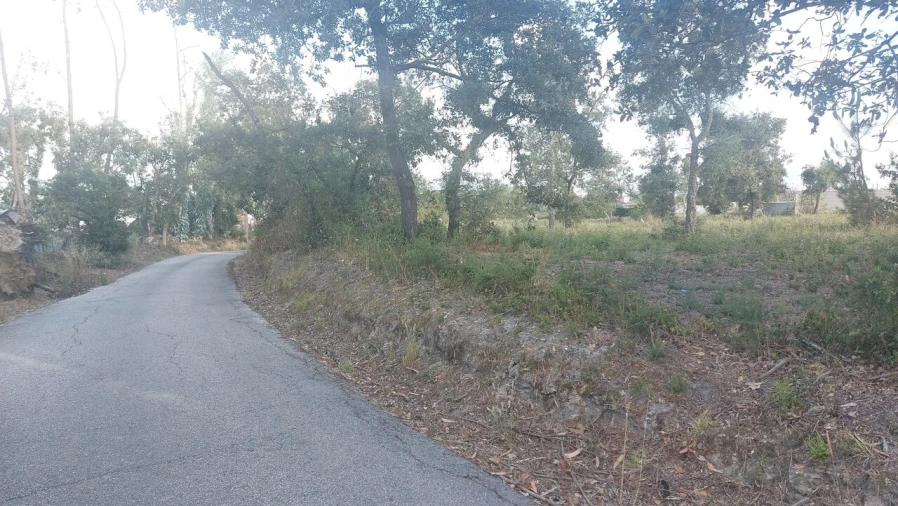Terreno para Venda em Monte Real e Carvide Foto 8