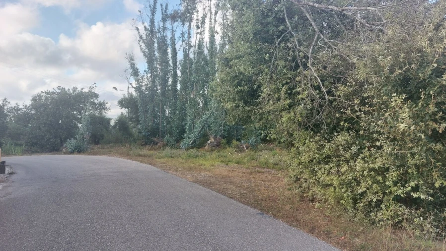Terreno para Venda em Monte Real e Carvide Foto 12