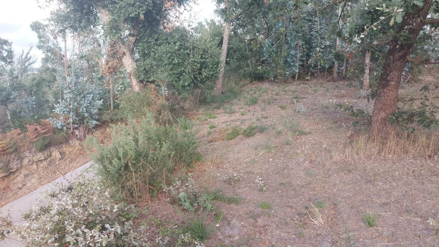 Terreno para Venda em Monte Real e Carvide Foto 26