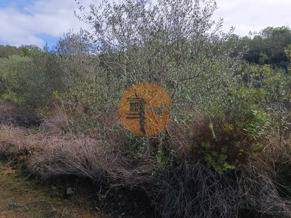 Negócio para Venda em Alcoutim e Pereiro Foto 23