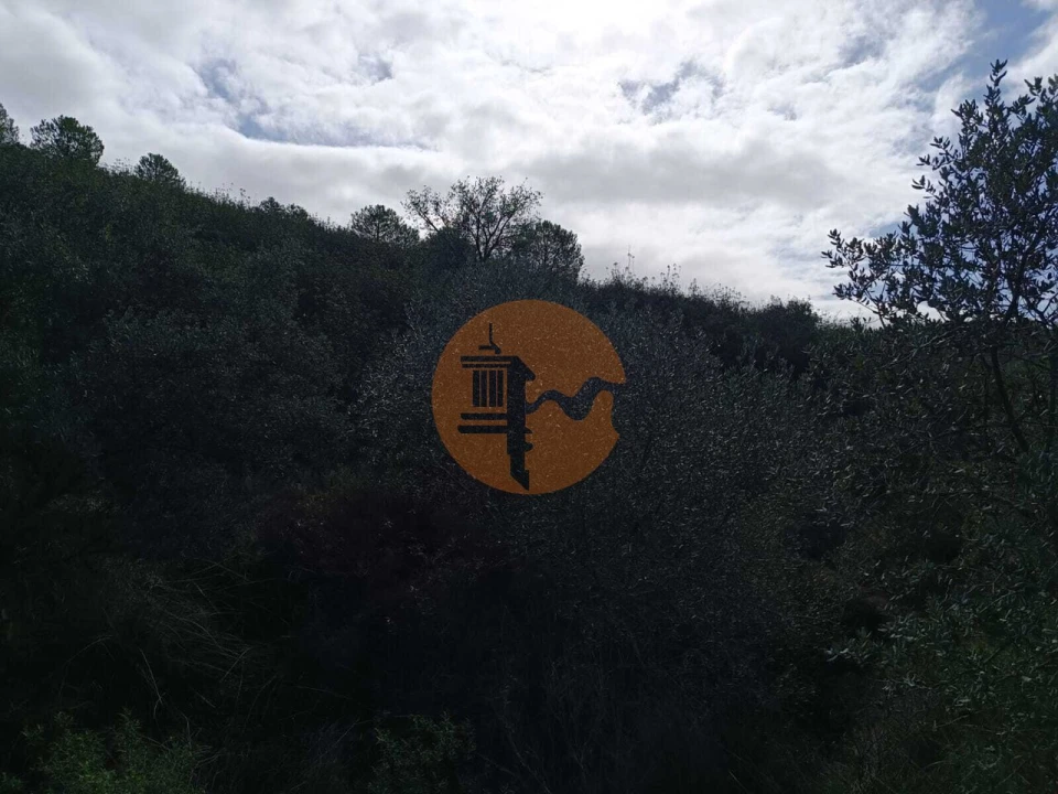 Negócio para Venda em Alcoutim e Pereiro Foto 27