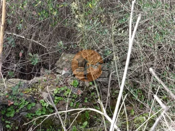 Negócio para Venda em Alcoutim e Pereiro