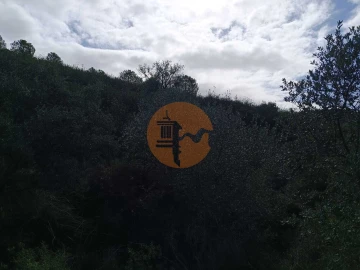 Negócio para Venda em Alcoutim e Pereiro